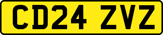CD24ZVZ