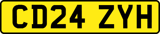 CD24ZYH