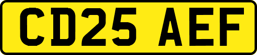 CD25AEF
