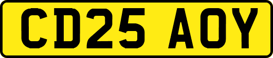 CD25AOY