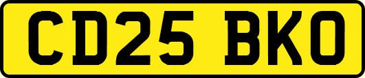 CD25BKO