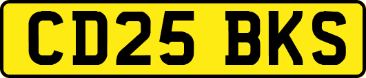 CD25BKS