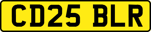 CD25BLR