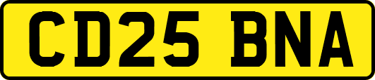 CD25BNA