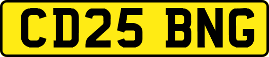 CD25BNG