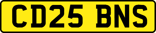 CD25BNS