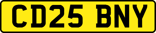 CD25BNY
