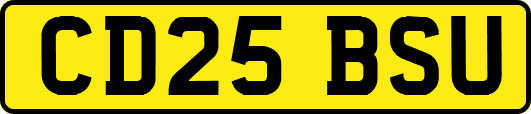 CD25BSU