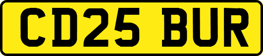 CD25BUR