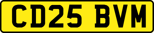 CD25BVM