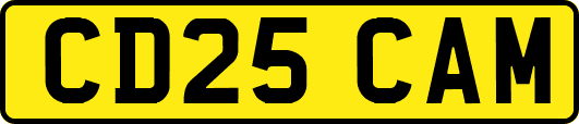 CD25CAM