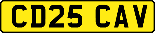 CD25CAV