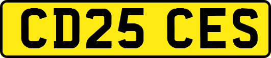 CD25CES