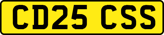 CD25CSS