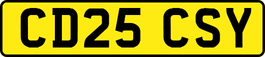CD25CSY