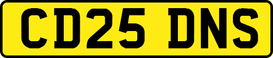 CD25DNS