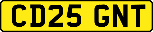 CD25GNT