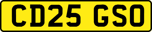 CD25GSO