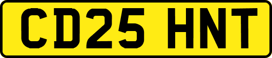 CD25HNT