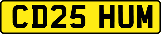 CD25HUM