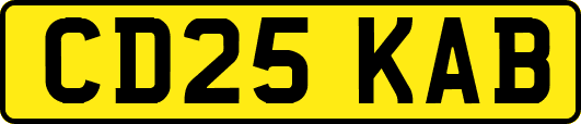 CD25KAB