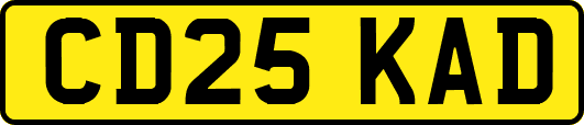 CD25KAD