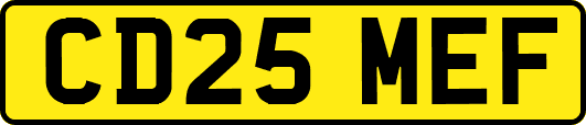 CD25MEF