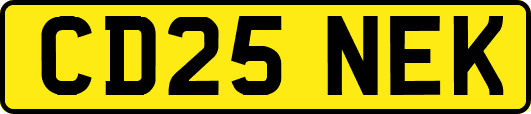CD25NEK