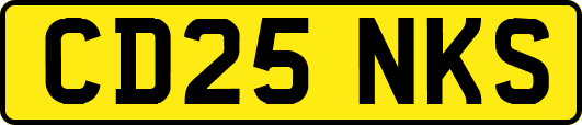 CD25NKS
