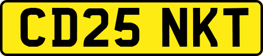 CD25NKT