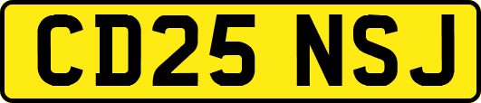 CD25NSJ