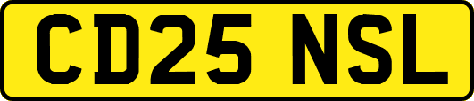 CD25NSL