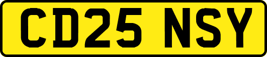 CD25NSY