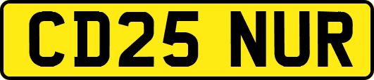 CD25NUR