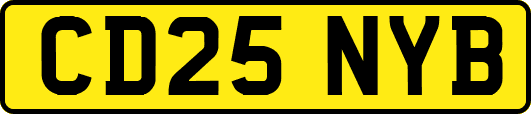 CD25NYB