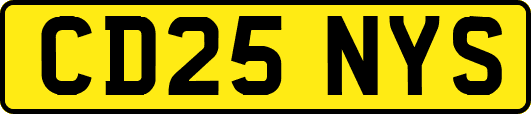 CD25NYS
