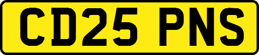 CD25PNS