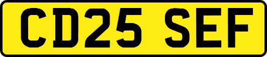 CD25SEF