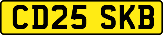 CD25SKB