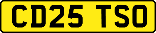 CD25TSO