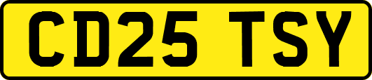 CD25TSY