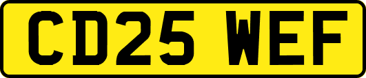 CD25WEF