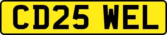 CD25WEL
