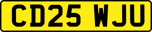 CD25WJU