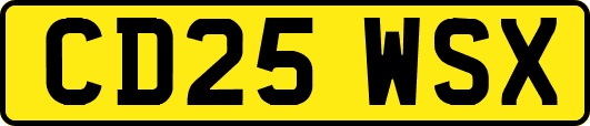 CD25WSX