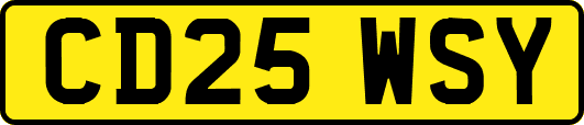 CD25WSY