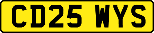 CD25WYS