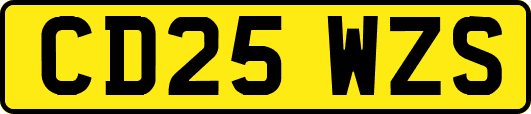 CD25WZS