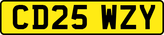 CD25WZY