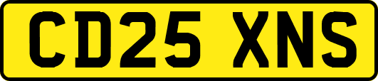 CD25XNS